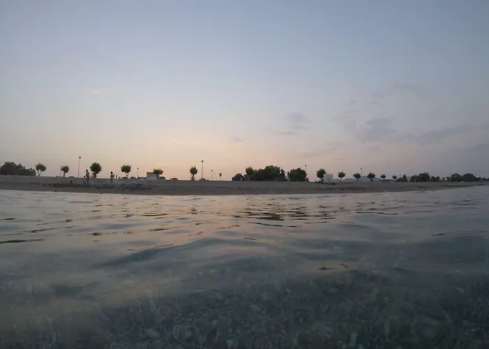 فيلة Summer Breeze